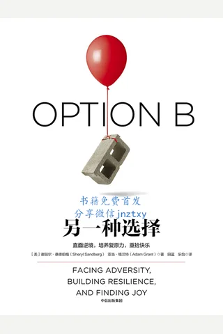 另一种选择 封面
