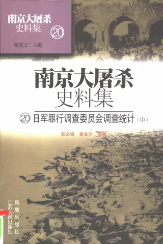 南京大屠杀史料集20 日军罪行调查委员会调查统计 中 封面