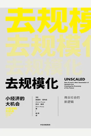 《去规模化：小经济的大机会》 封面
