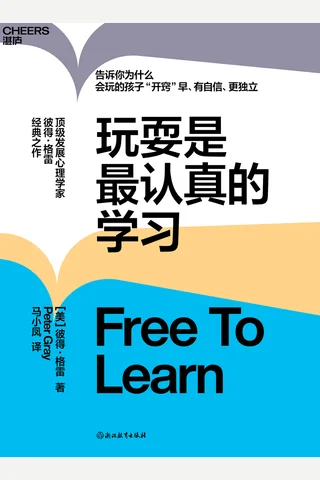 《玩耍是最认真的学习》【豆瓣评分8.6】 封面