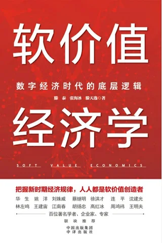 软价值经济学：数字经济时代的底层逻辑 封面