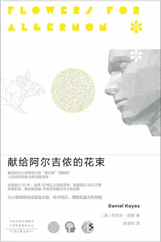 献给阿尔吉侬的花束 封面