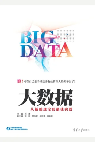 大数据：从基础理论到最佳实践 封面