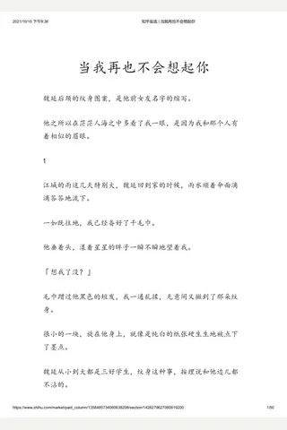 知乎盐选 当我再也不会想起你 封面