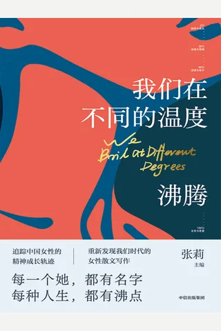 《我们在不同的温度沸腾》 封面