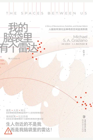 《我的脑袋里有个雷达》 封面