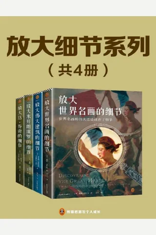 放大细节系列套装 封面