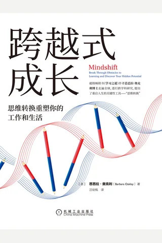 《跨越式成长》 封面