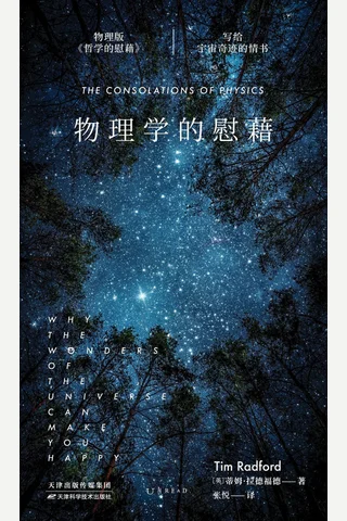 《物理学的慰藉：写给宇宙奇迹的情书》 封面