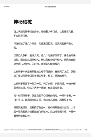 知乎盐选 神秘暗桩 封面