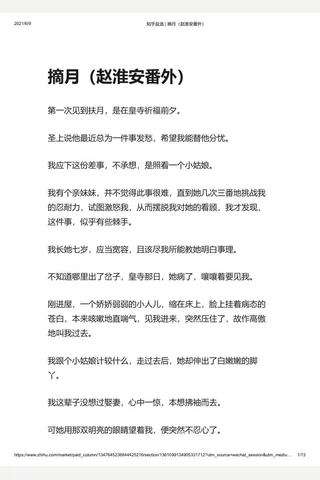 知乎盐选 摘月 封面