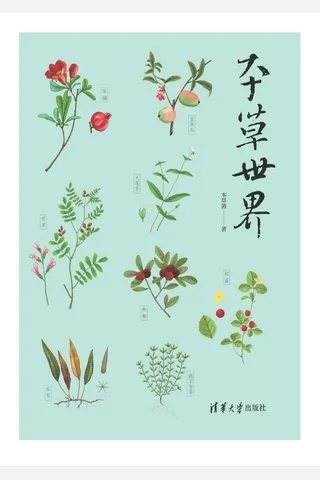 本草世界 封面