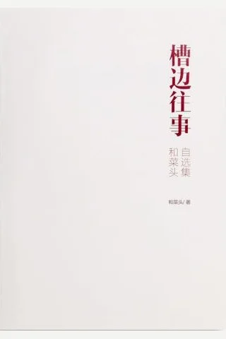 槽边往事：和菜头自选集 封面