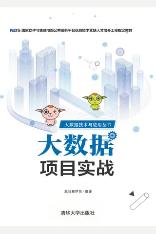 大数据项目实战 封面