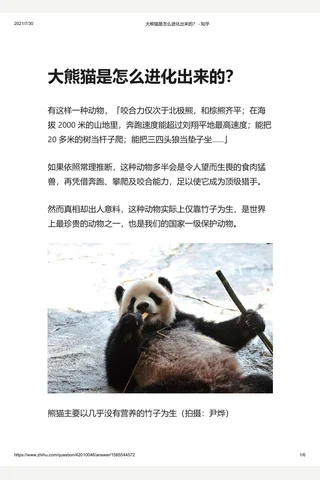 大熊猫是怎么进化出来的？ - 知乎 封面