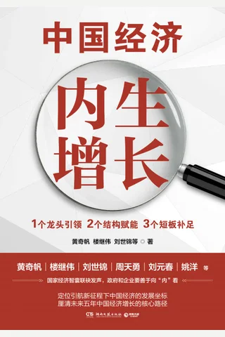 《中国经济：内生增长》 封面