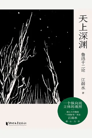 天上深渊：鲁迅十二论 封面