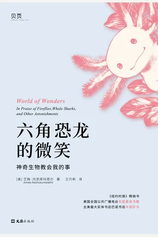 《六角恐龙的微笑》【豆瓣评分8.7】 封面