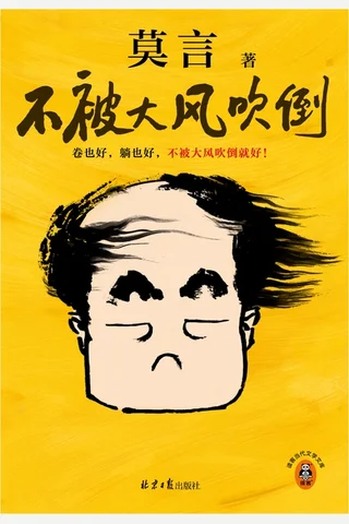 《不被大风吹倒》【豆瓣评分7.5】 封面