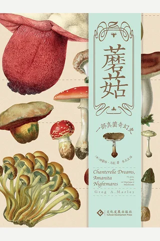 《蘑菇：一部真菌奇幻史》【豆瓣评分8.6】 封面