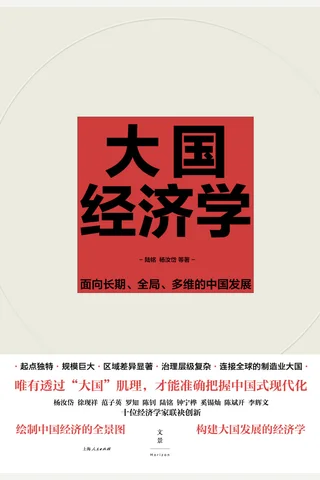 《大国经济学：面向长期、全局、多维的中国发展》 封面