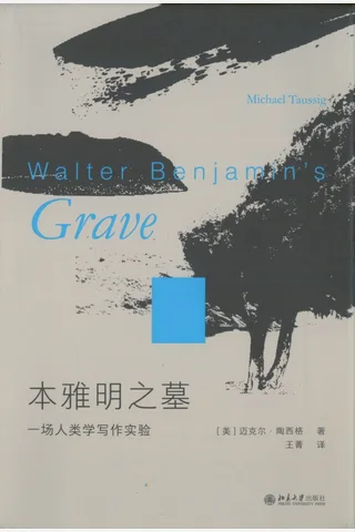 本雅明之墓：一场人类学写作实验 封面