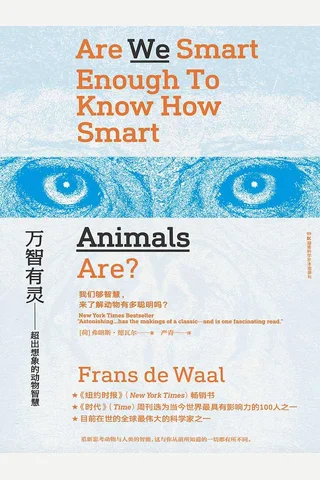 《万智有灵》 封面