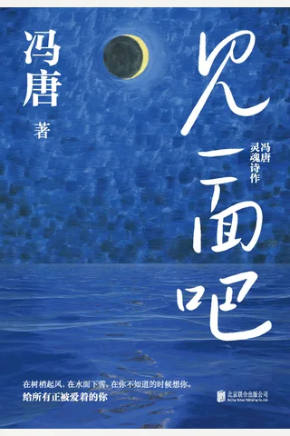 《见一面吧》（冯唐新作）【豆瓣评分6.2】 封面
