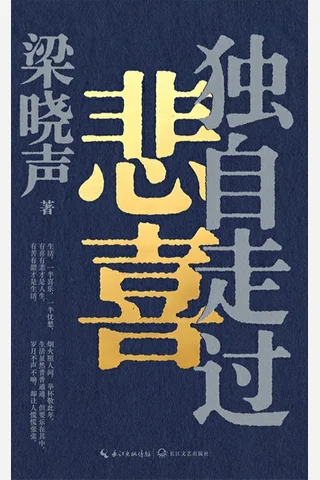 《独自走过悲喜》【豆瓣评分7.9】 封面