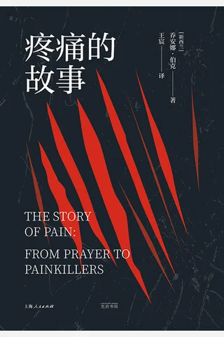 疼痛的故事 封面