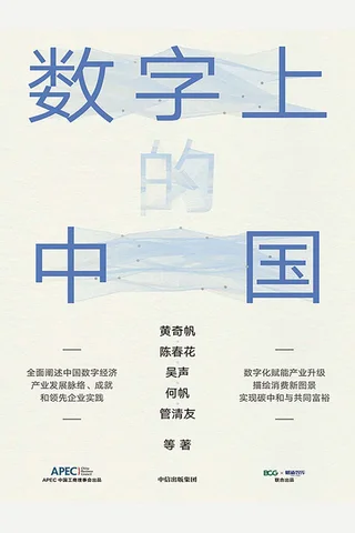 《数字上的中国》 封面