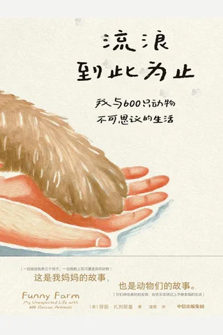 《流浪到此为止》【豆瓣评分9.7】 封面