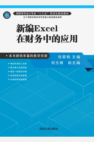 新编Excel在财务中的应用 封面