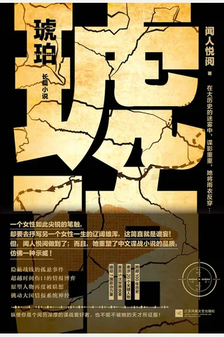 《琥珀》 封面
