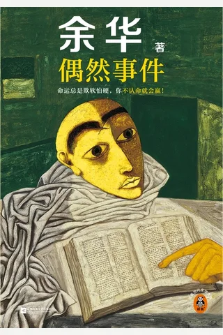 《偶然事件》【豆瓣评分7.0】 封面
