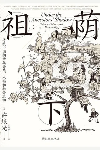 祖荫下：传统中国的亲属关系、人格和社会流动 封面