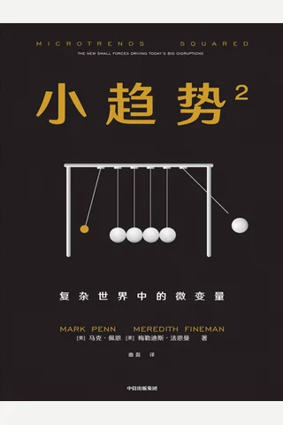 《小趋势2：复杂世界中的微变量》 封面