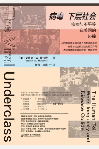 《病毒下层社会》【豆瓣评分7.2】 封面
