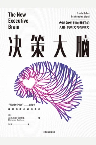 《决策大脑》 封面
