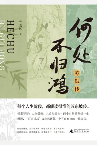 《何处不归鸿：苏轼传》 封面