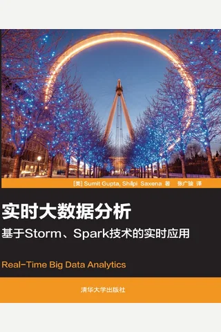 实时大数据分析 封面