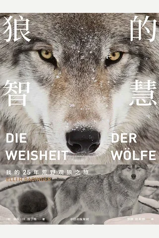 《狼的智慧》 封面