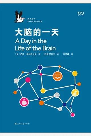 《大脑的一天》 封面