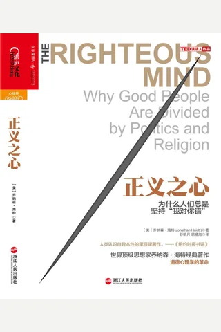 正义之心：为什么人们总是坚持“我对你错” 封面