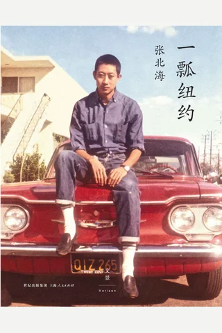 一瓢纽约 封面