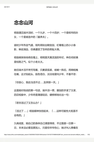 知乎盐选 念念山河 封面