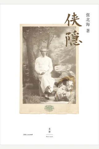 侠隐-张北海 封面