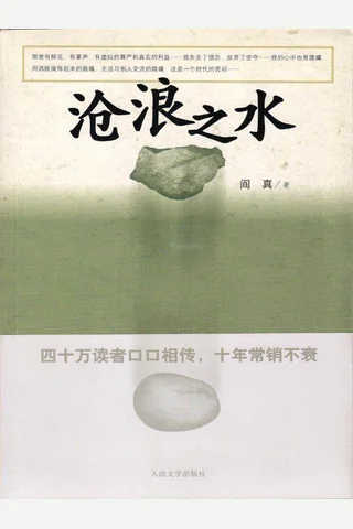 阎真-沧浪之水 封面