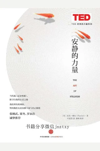 安静的力量 封面