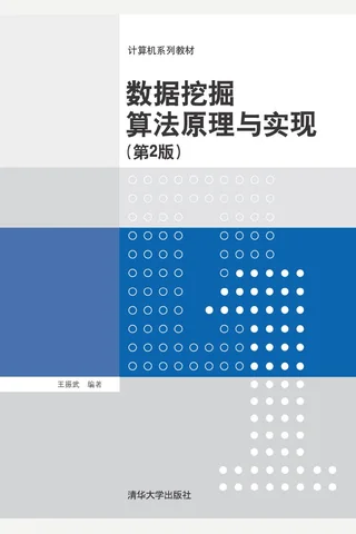 数据挖掘算法原理与实现 封面
